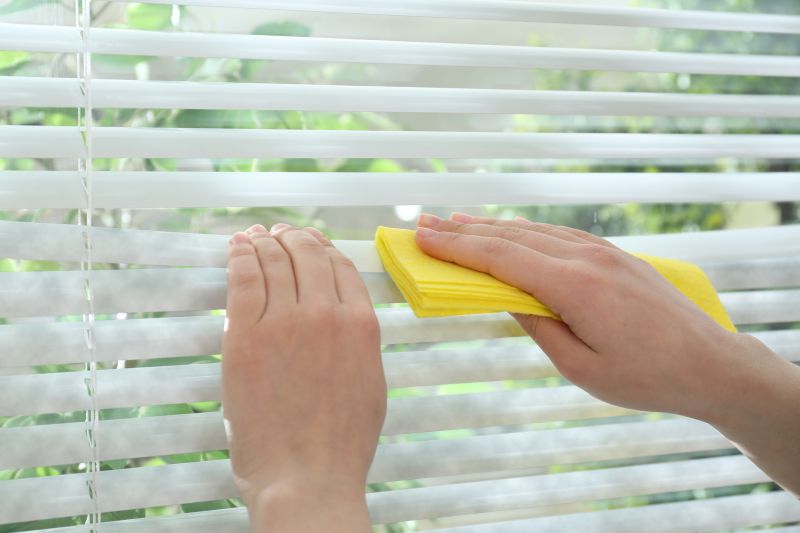 Blinds Cleaning