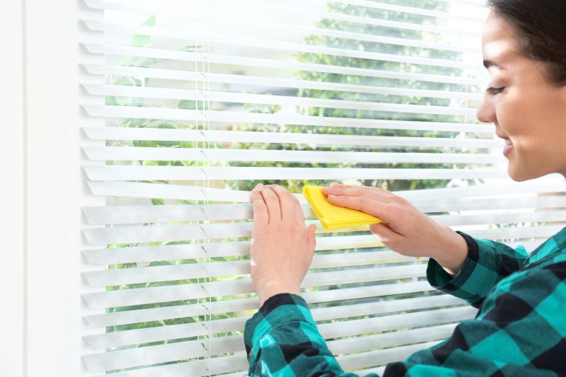 Blinds Cleaning