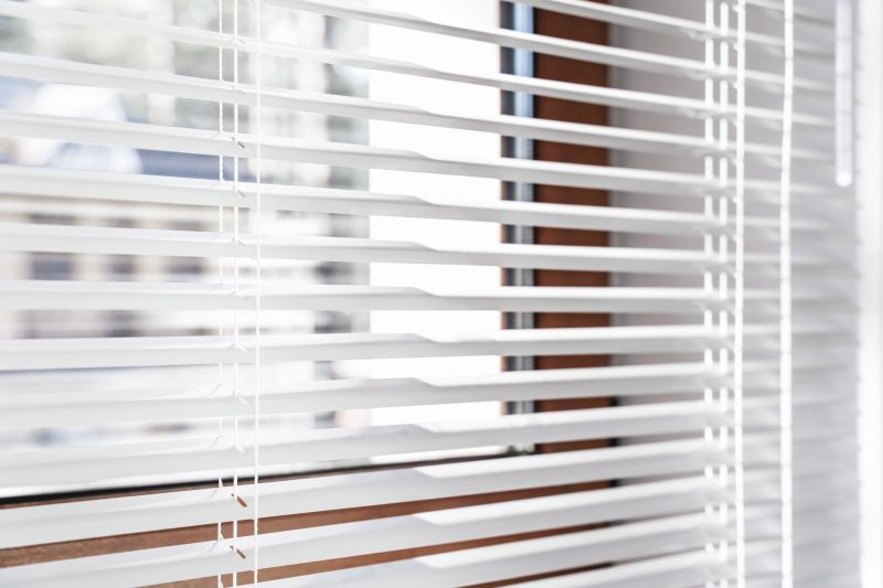 Window Blinds Installation in Denver County, CO